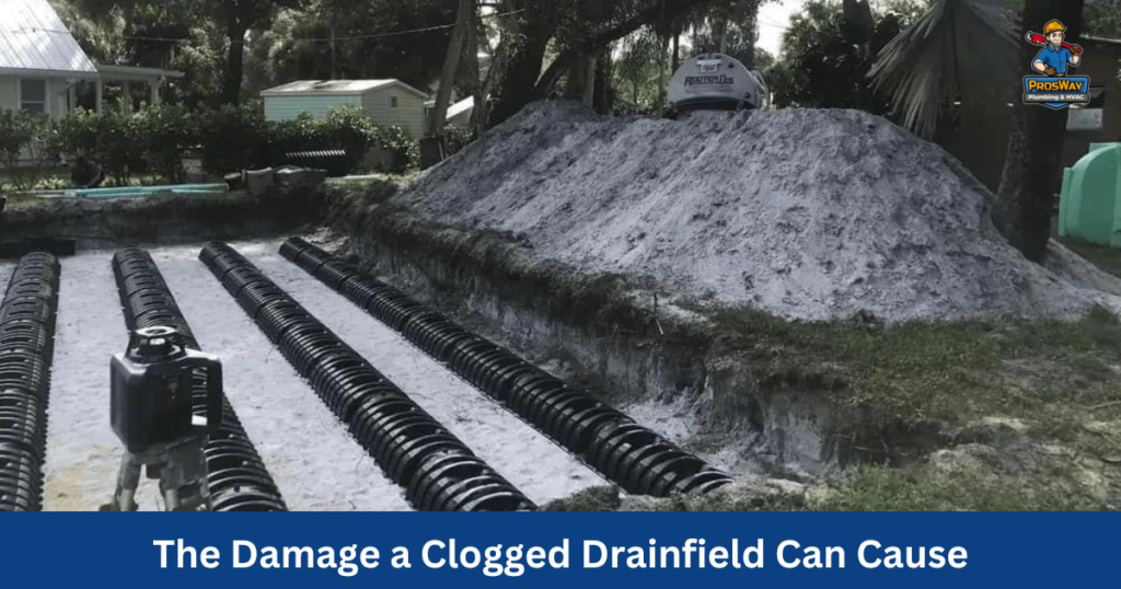 Clogged Drainfield Damage: Signs, Causes, and How to Prevent