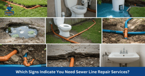 Which Signs Indicate You Need Sewer Line Repair Services?