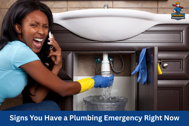 Signs You Have a Plumbing Emergency Right Now